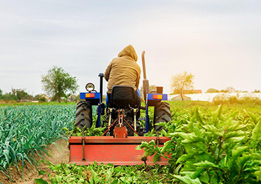 Çevre Koruma Projemiz Tamamlandı: Doğaya 10,000 Fidan